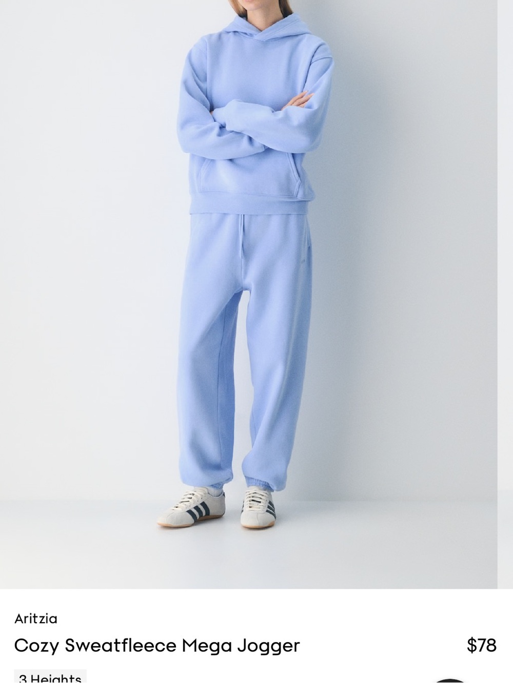 Aritzia Cozy Sweatfleece Mega Jogger